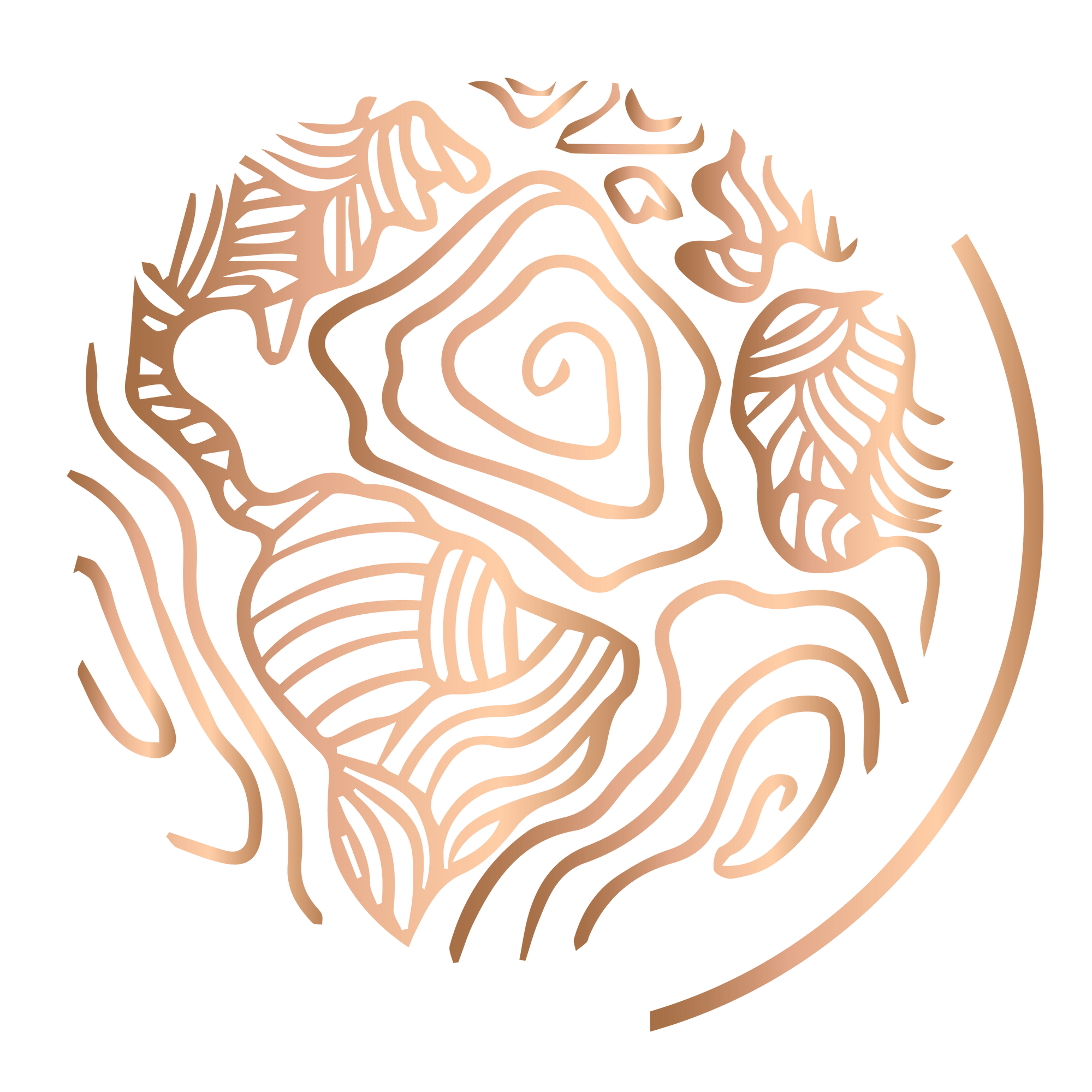 Logo Mesa Lille